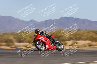 media/Feb-04-2023-SoCal Trackdays (Sat) [[8a776bf2c3]]/Turn 9 Side (130pm)/